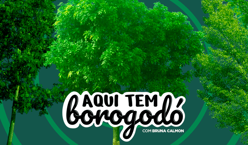 Preservação de um dos nossos maiores biomas: a Mata Atlântica