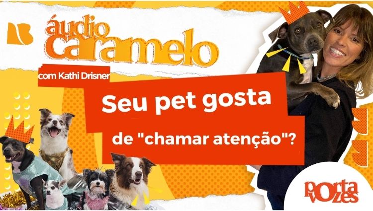 AUDIO CARAMELO: O cãozinho pode “Chamar Atenção”?