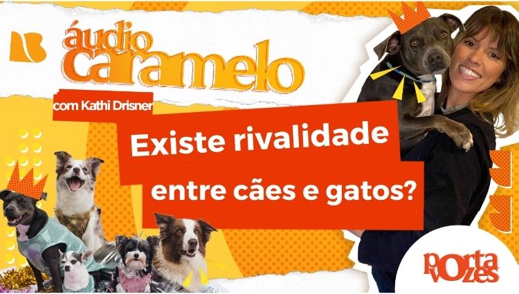 AUDIO CARAMELO: Existe rivalidade entre cães e gatos?