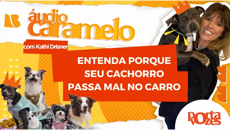 ÁUDIO CARAMELO: Entenda os motivos do seu cão passar mal no carro