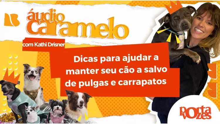 ÁUDIO CARAMELO: Dicas para ajudar a manter seu cão a salvo de pulgas e carrapatos