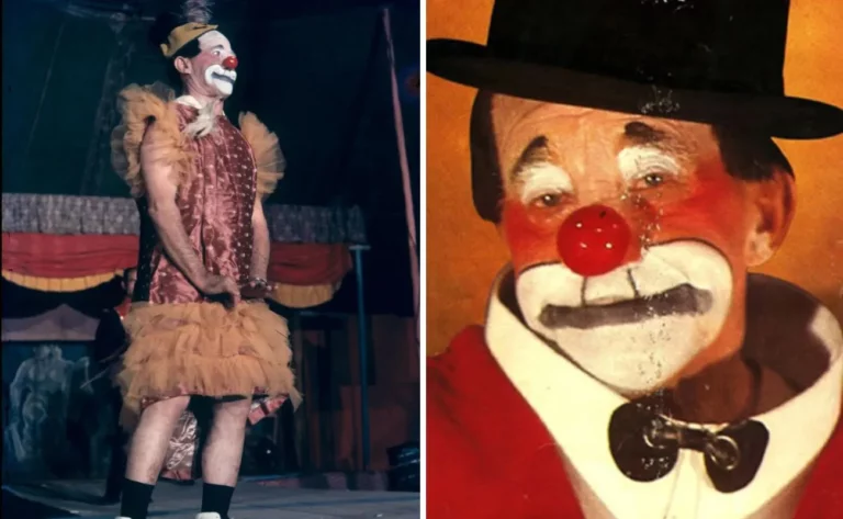 Hoje é Dia do Circo no Brasil!