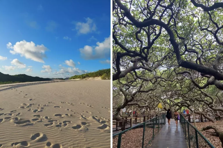 Nordeste: pontos turísticos que você deve conhecer