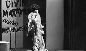 gal-costa-tropicalia