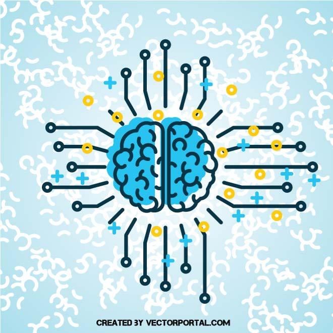 A podridão cerebral e o impacto para o cérebro humano