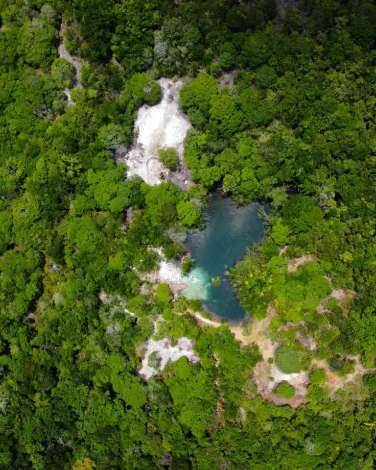 Turismo de experiência: faça seu vinho ou passe a noite na floresta