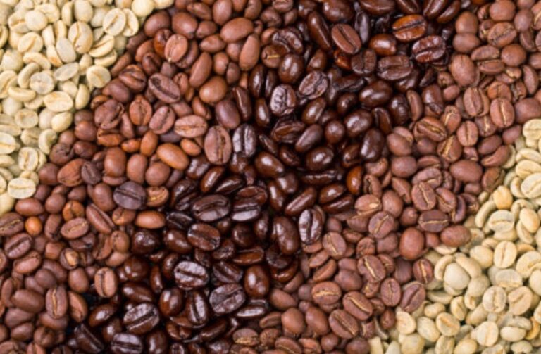 Daniel Oliveira: “Desvendando as classificações do café”; entenda