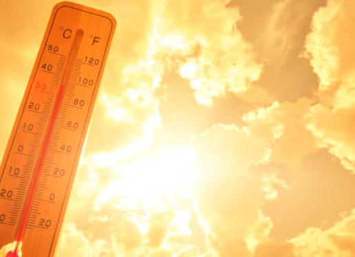 Calor extremo pode ser perigoso: saiba como se proteger
