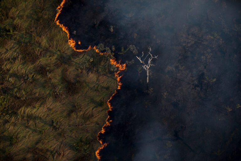 Desmatamento e agropecuária são 75% das emissões de CO2 no Brasil