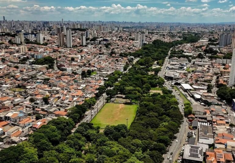 Homem planta mais de 40 mil árvores e muda o cenário de um bairro inteiro