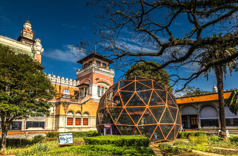 Museu Catavento celebra 10 anos do borboletário com programação especial de férias