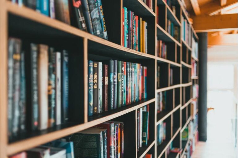 Os livros são sempre bem-vindos, seja para estudos ou apenas para lazer e prazer