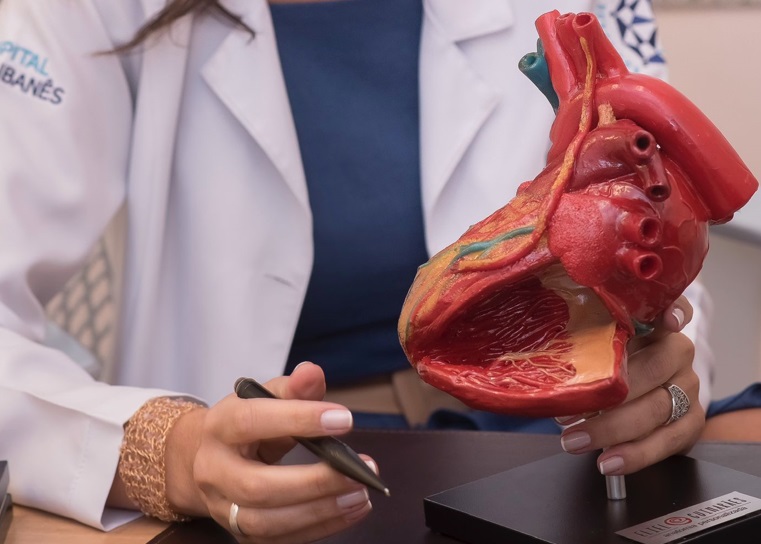 Dia Mundial do Coração: doenças cardiovasculares são a principal causa de morte no Brasil e no mundo