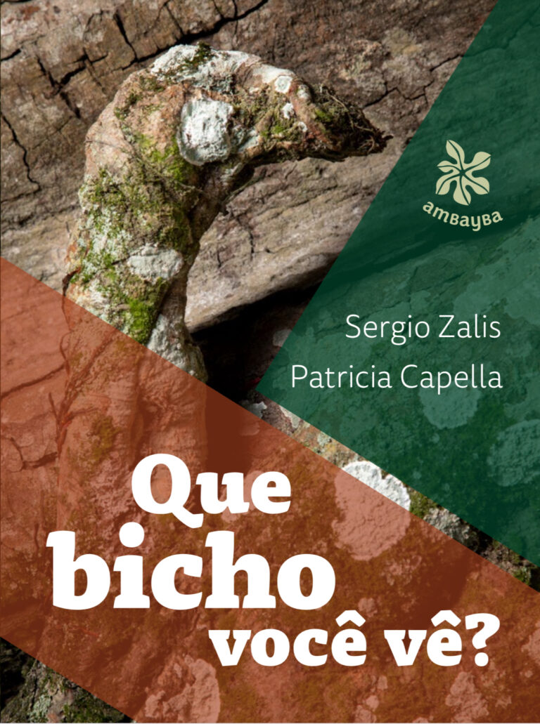 Miúdos &amp; Melodias: Um passeio pela floresta da imaginação