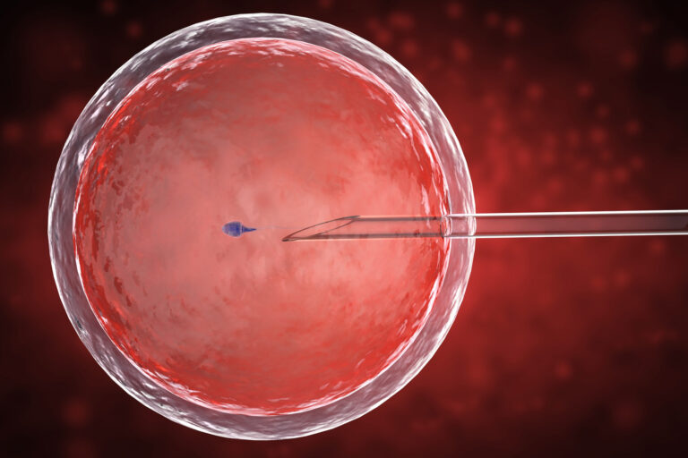 Inteligência Artificial revoluciona fertilização in vitro e aumenta a esperança de casais