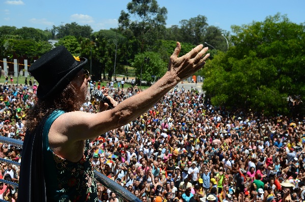 Carnaval é folia, mas exige cuidado com rins