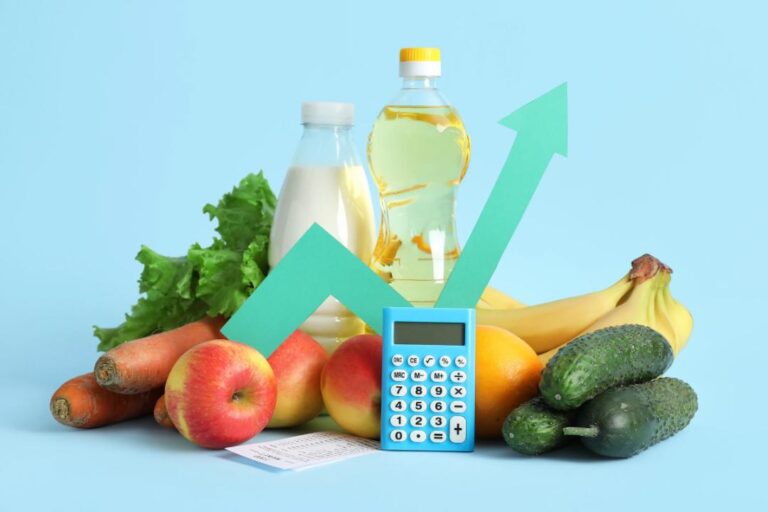 Adriana Rielo: “Organização e Economia”