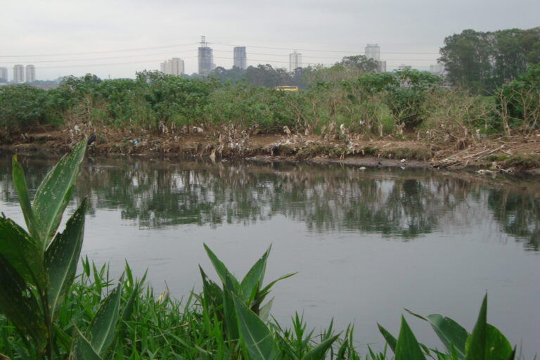 Nenhum trecho limpo: o tamanho do desafio para despoluir o Rio Tietê em São Paulo